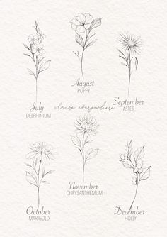 six different types of flowers are shown in this drawing style, each with their own name