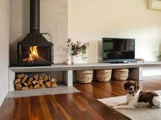 a dog laying on the floor in front of a fire place with logs and a television