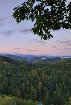 a scenic view of mountains and trees at dusk