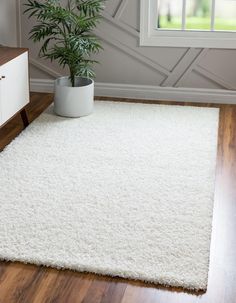 a white rug with a potted plant on it in front of a wooden floor