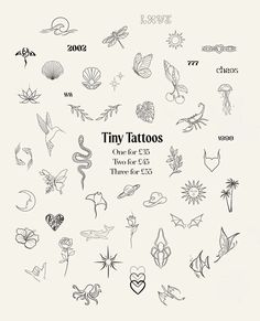 the cover of tiny tattoos one for each