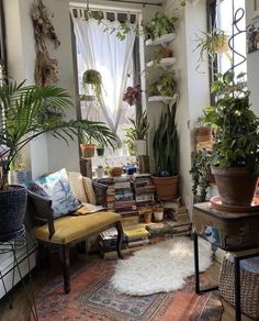 a living room filled with lots of plants and furniture