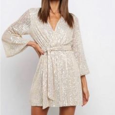 Nwt, Never Worn. Gorgeous Dress. Looks Way More Expensive Than It Is! Spring Long Sleeve Dressy Sequin Dress, Chic White Dress For Holiday Party, Glamorous White Dress For Holiday Party, White Sequin Dress For Fall, Fall White Sequin Dress, White Sequin Dresses For Fall, Holiday Champagne V-neck Mini Dress, Champagne V-neck Mini Dress For Date Night, Chic Champagne V-neck Mini Dress