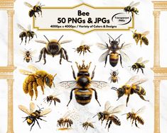 bees and honeybees are featured in this poster