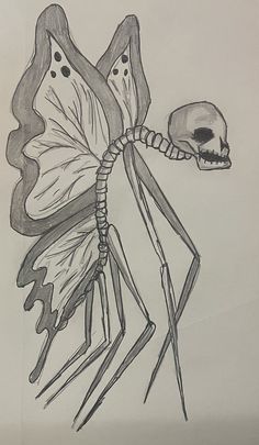 a drawing of a skeleton and a butterfly