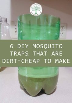 a green vase sitting on top of a counter with the words 6 diy mosquito traps that are dirt - cheap to make