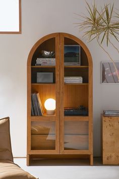 a wooden book shelf with books on it and a plant in the corner next to it