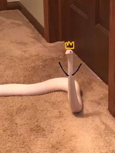 a snake with glasses on its head is laying on the floor next to a door