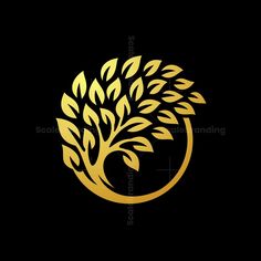 a golden tree logo on a black background