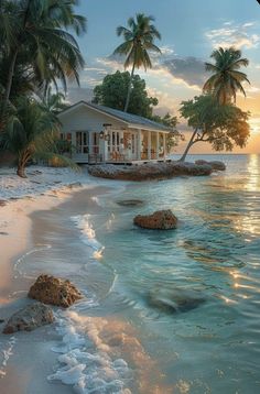 a house on the beach with palm trees in the background and waves coming in from the water