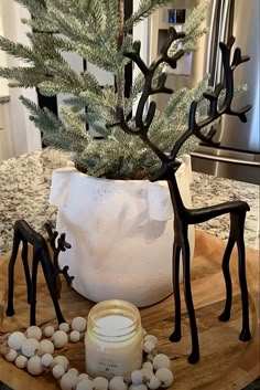 a potted plant sitting on top of a wooden table next to rocks and candles