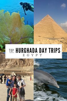 the top things to see and do in hurghada day trips from egypt with kids