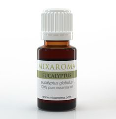 Eucalyptus Essential Oil - 15ml (Globulus) -- #EssentialOils Uses -- Well known for its use in combating #acne, #disinfecting air, treating insect bites, and runny noses. Eucalyptus Globulus, Patchouli Essential Oil, Holiday Scents, Eucalyptus Oil, Neem Oil, Organic Garden, Mentha Piperita, Muscle Aches, Best Essential Oils