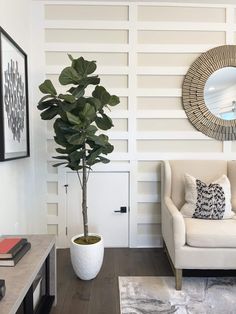 a living room with a couch, chair and potted plant