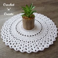 a crocheted pot holder with a succulent in it on top of a wooden table