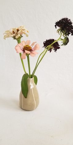 three flowers in a vase on a white background