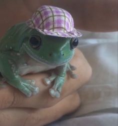 a small green frog wearing a hat on top of someone's hand in bed