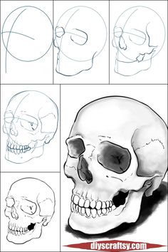 how to draw a skull with different angles