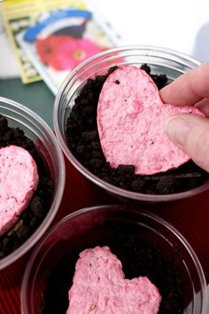 three heart shaped cupcakes in plastic containers on a table with a person placing frosting on them