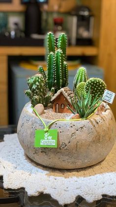 a potted plant sits on top of a doily