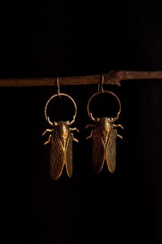 Large, life size, solid (not plated) raw brass cicadas hang from a hand hammered pure copper rings on solid sterling silver ear hooks. These wonderfully detailed cicada earrings have a realistic look in an antique style. These earrings are a good size, but very light weight.  I added a patina to enhance the antique feel and highlight the texture. I offer these earrings with a standard piercing solid sterling silver hook or a hand hammered solid sterling hoop hook for stretched ears. See last photo for comparison. Please choose your earrings hook style from the drop down menu. Regular piercing hook earring length: 3 inches long including the ear wire weight: .22oz or 6.1g Stretched piercing hoop hook earring length: 3 3/4 inches long including the ear wire weight: .24oz or 6.9g ✦ C A R E - Crochet Cicada, Cicada Jewelry, Cicada Earrings, Insect Earrings, New Ear Piercing, Earrings Bold, Natural Earrings, Hand Earrings, Nature Earrings