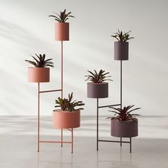 three plant stands with plants in them on the floor