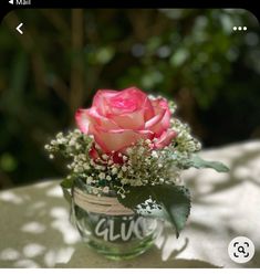 a pink rose in a glass jar with baby's breath