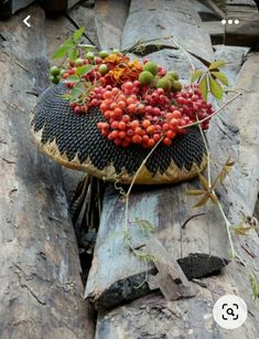 a basket filled with berries sitting on top of a wooden log