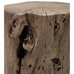 a close up of a tree stump with holes in it