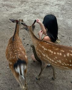 a woman feeding a deer with her hand