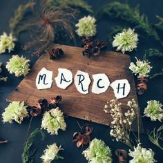 the word march spelled with cut out letters on a cutting board surrounded by flowers and pine cones