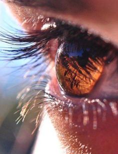 an eye looking into the distance with its reflection in it's irise lens