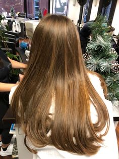 Long Healthy Shiny Hair, Healthy Hair Inspiration, Long Brown Healthy Hair, Long Shiny Brown Hair, Healthy Light Brown Hair, Honey Brown Hair Aesthetic, Shiny Light Brown Hair, Healthy Long Hair Aesthetic, Long Honey Brown Hair