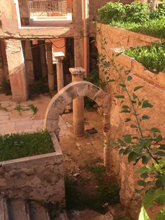 an old building with some plants growing out of it