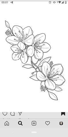 a line drawing of flowers on a white background