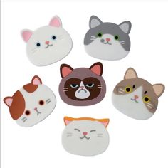 six cat magnets with different faces on them