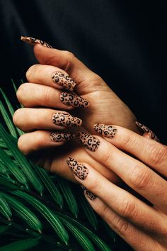 Rave Nails, Rock Nails, Cheetah Print Nails, Leopard Print Nails, Cute Nail Art Designs, Edgy Nails, Leopard Nails, Coffin Shape Nails, Animal Print Nails