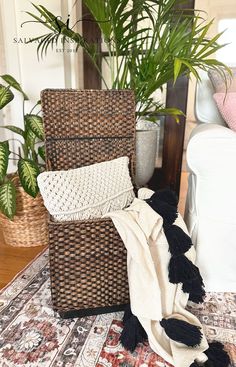 two wicker chairs with black and white throw pillows on top of them next to a potted plant