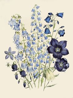 an illustration of blue and white flowers with green stems in the foreground, on a beige background