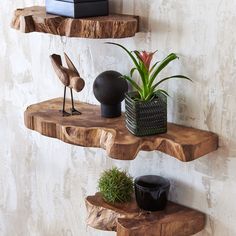 Floating Live Edge Shelves Live Edge Shelves, Natural Teak Wood, Regal Design, Wood Floating Shelves, Diy Holz, Estantes Flotantes, Live Edge Wood, Shelf Design, Decor Minimalist