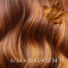 Pumpkin Hair Color, Ginger Chocolate, Pumpkin Hair, Hair Education, Sunset Hair, Stylish Hairstyles