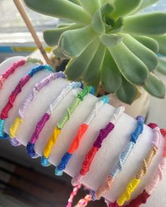 a bunch of bracelets that are sitting on a table next to a succulent