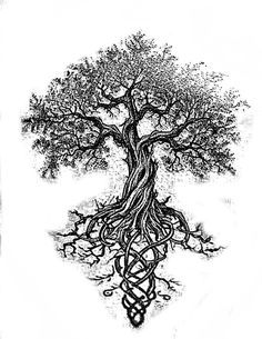 a black and white drawing of a tree with roots on it's sides, in the shape of a heart