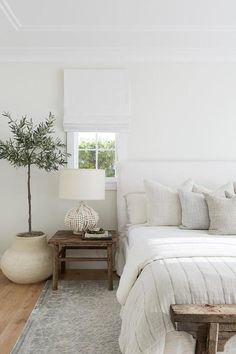 a bedroom with white walls and wooden flooring has a tree in the corner on the bed