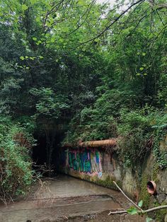 graffiti is painted on the side of a tunnel