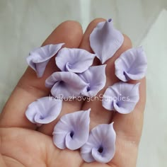 small purple flowers being held in someone's hand