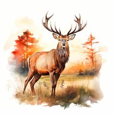 a painting of a deer standing in the grass with trees behind it and an orange sky