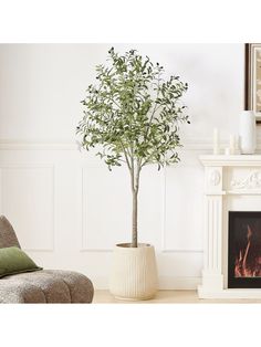 a potted tree in front of a fireplace