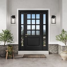 a black front door with two potted plants next to it and an entry way