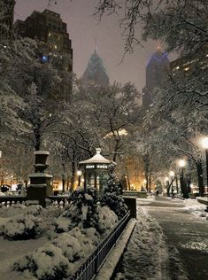 snow covers the ground and trees in new york city's central park at night